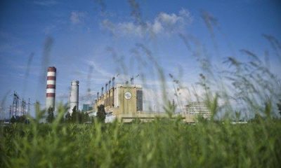 Enea weźmie udział w aukcjach OZE z blokiem biomasowym w Elektrowni Połaniec