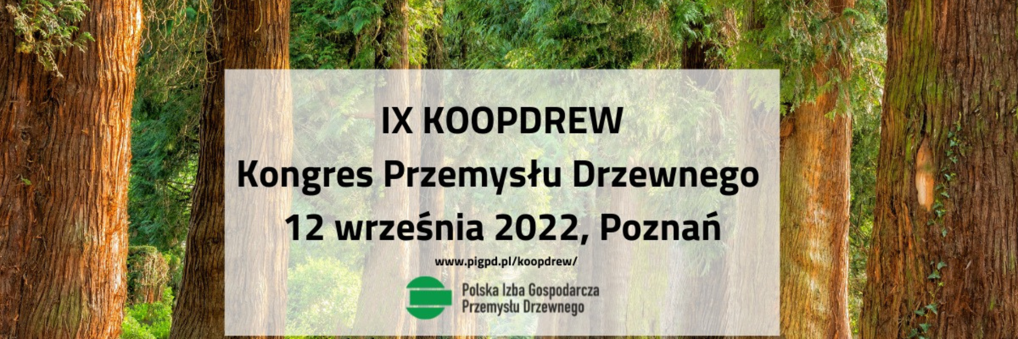 KOOPDREW IX 2022