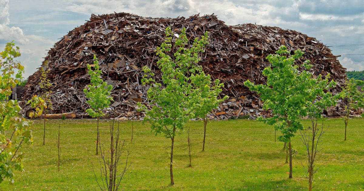 Recykling, to korzyść biznesowa i środowiskowa