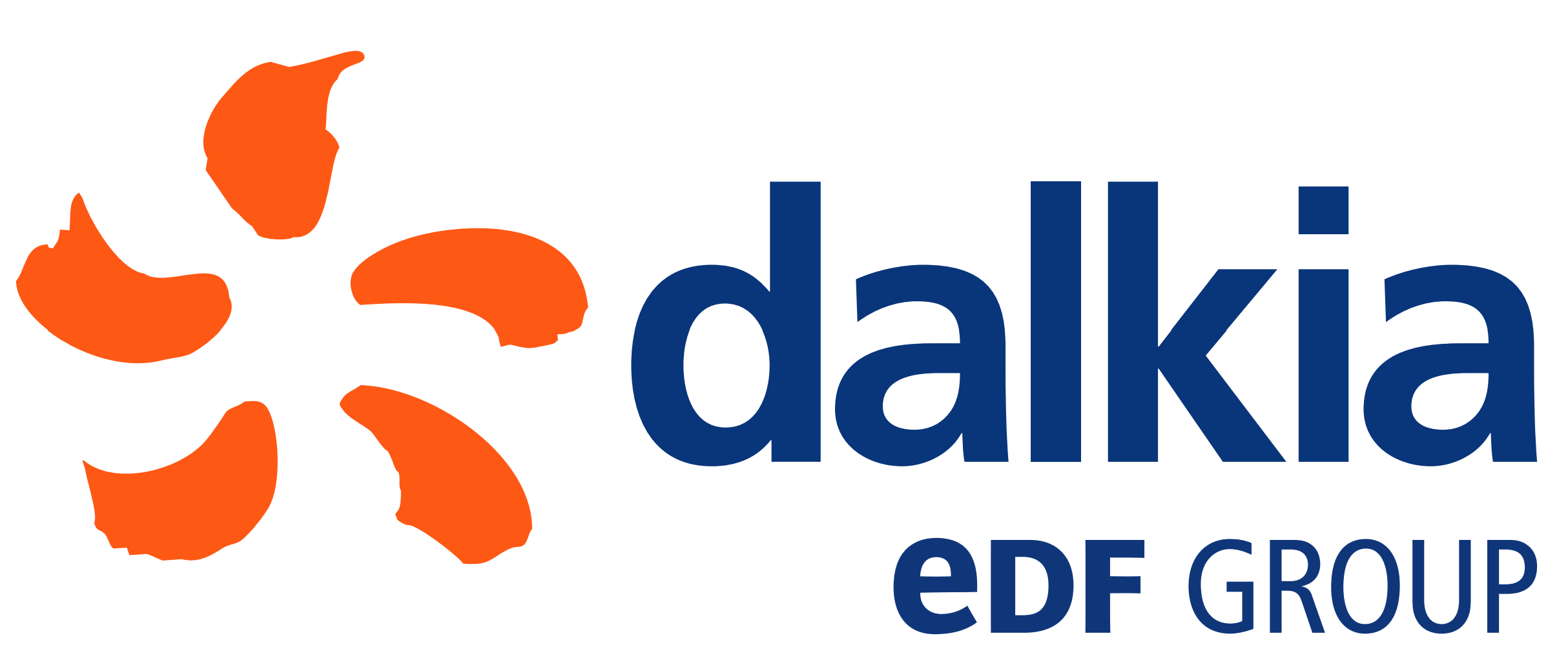 Dalkia Polska